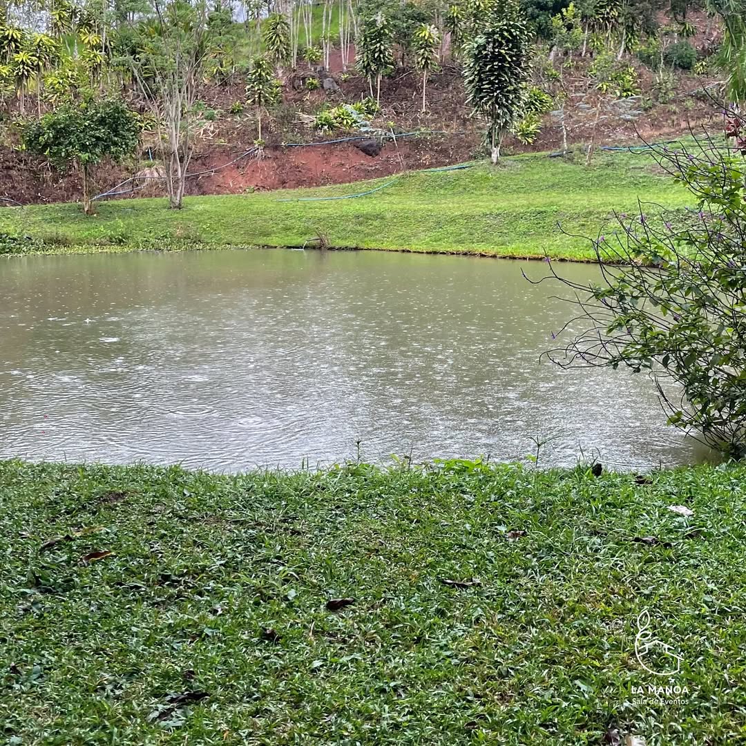 imagen lago